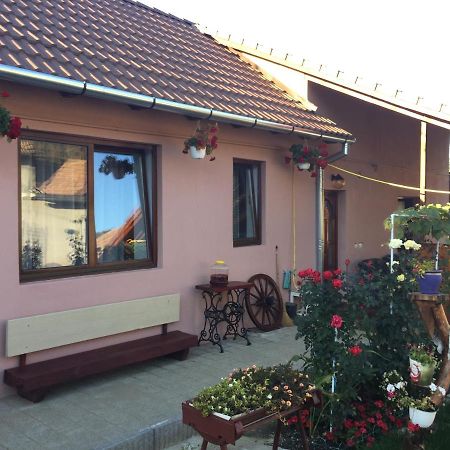 فيلا Casa Rustica Cu Terasa Mediaş المظهر الخارجي الصورة