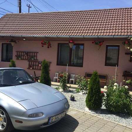 فيلا Casa Rustica Cu Terasa Mediaş المظهر الخارجي الصورة