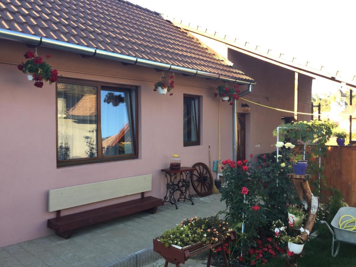 فيلا Casa Rustica Cu Terasa Mediaş المظهر الخارجي الصورة