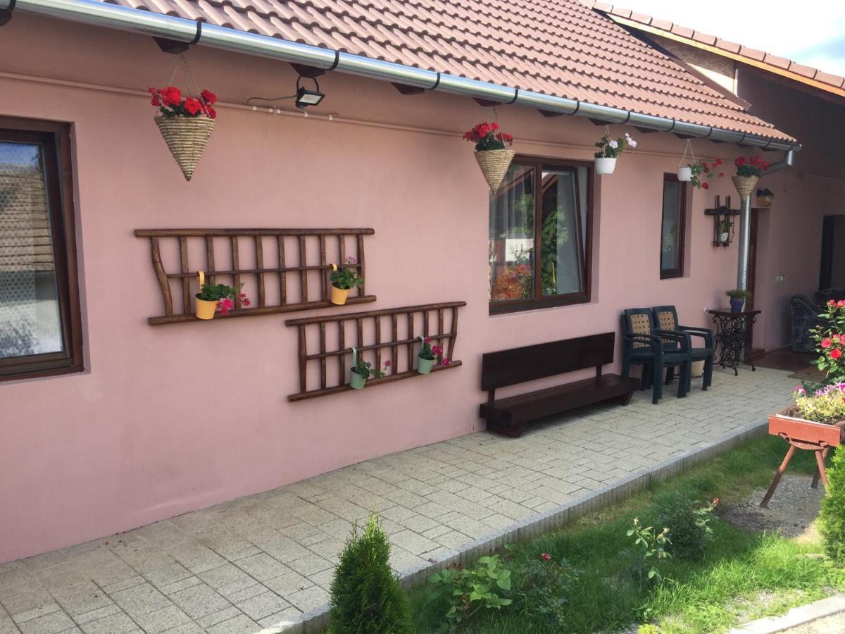 فيلا Casa Rustica Cu Terasa Mediaş المظهر الخارجي الصورة