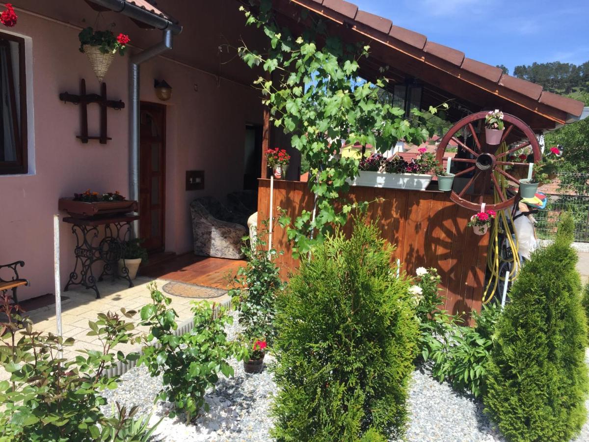 فيلا Casa Rustica Cu Terasa Mediaş المظهر الخارجي الصورة